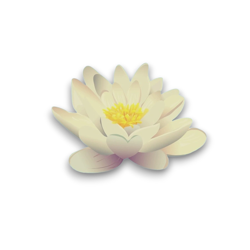 водяна лілія